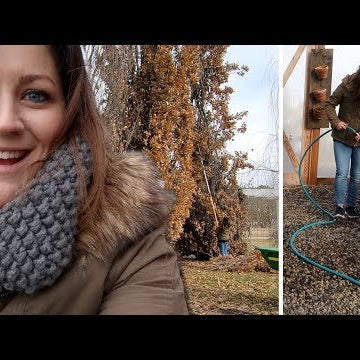Winter Watering & Flower Bed Cleanup
