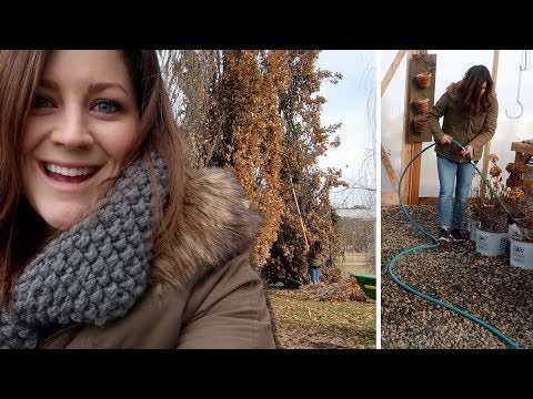 Winter Watering & Flower Bed Cleanup