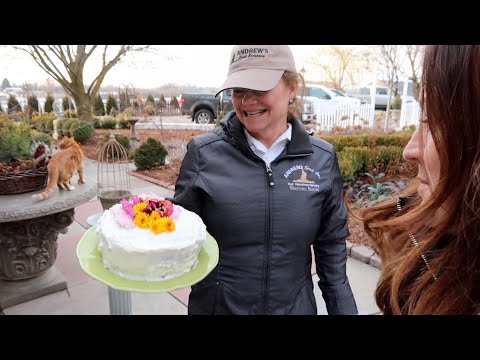 Winter Carrot Harvest + Carrot Cake!
