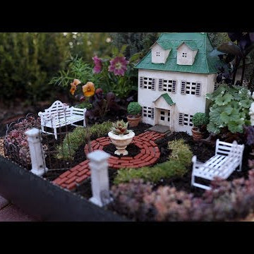 Formal Miniature Garden