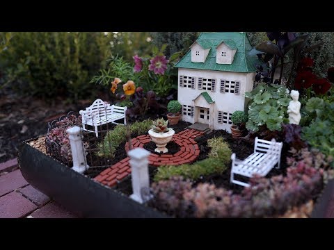 Formal Miniature Garden