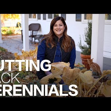 Cutting Back Perennials in the Fall