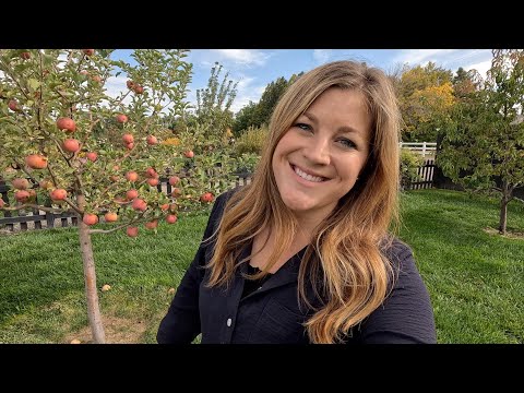 Making Applesauce (with Our Homegrown Worm-y Apples ) & Dried Flowers for Our Mantle!