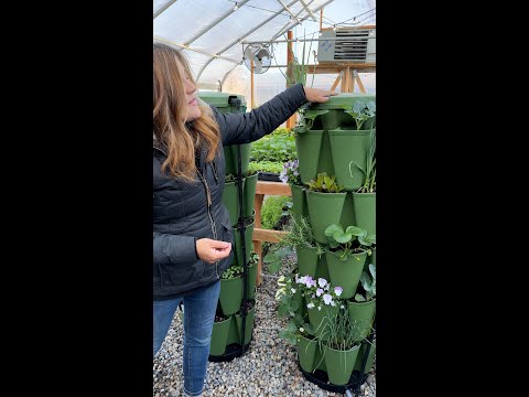 Vertical Garden Update and Picking a Winner!