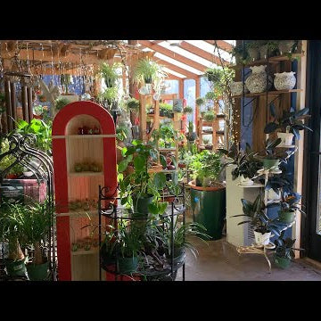 Houseplant Tour at the Garden Center!