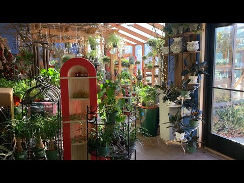 Houseplant Tour at the Garden Center!