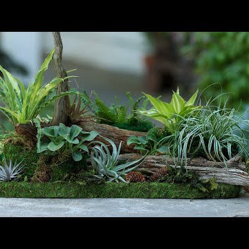 Miniature Woodland Tabletop Garden!