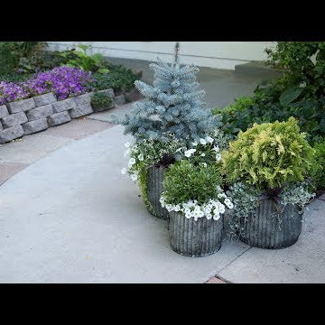 Planting Up Containers that Will Take You Through Winter!