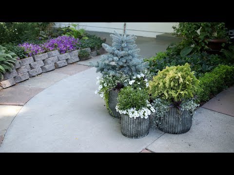 Planting Up Containers that Will Take You Through Winter!