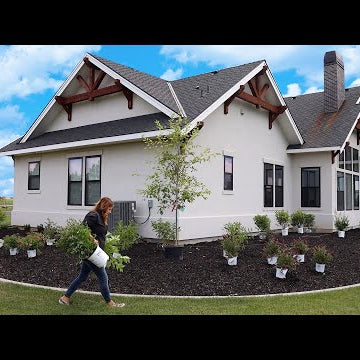 Planting 40 Full Sun Shrubs in Our Friend’s Garden!