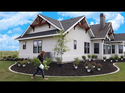 Planting 40 Full Sun Shrubs in Our Friend’s Garden!