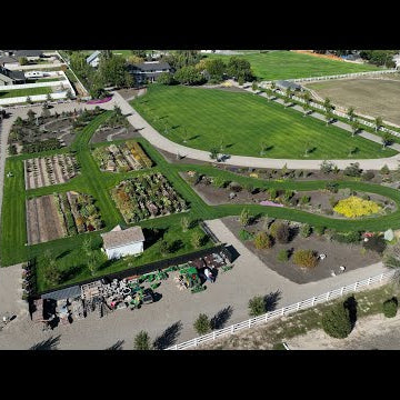 September Garden Tour - Part Two!  /