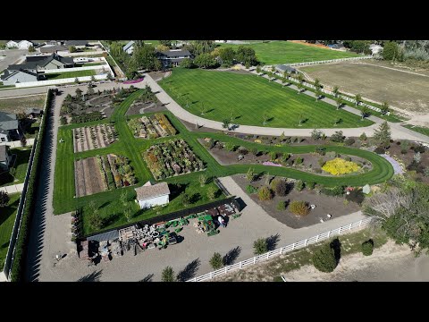 September Garden Tour - Part Two!  /