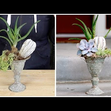 Fixing a Damaged Succulent Arrangement