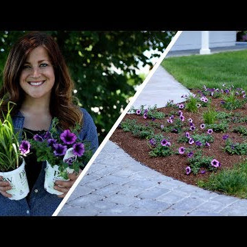 Tips for Planting Annuals in the Landscape