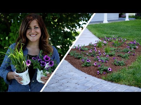 Tips for Planting Annuals in the Landscape