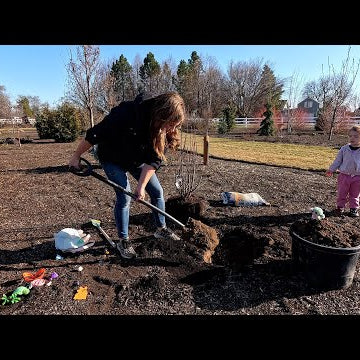 Planting a Serviceberry & Miniature Peach + Flower Bed Cleanup!