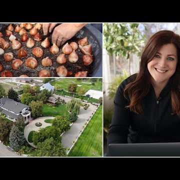 When is the Next Garden Tour? What are You Doing With the Old Self Watering Containers?