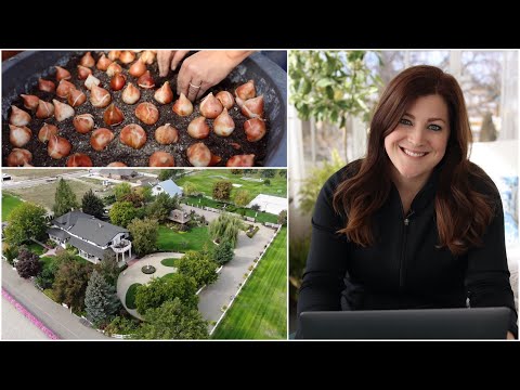 When is the Next Garden Tour? What are You Doing With the Old Self Watering Containers?