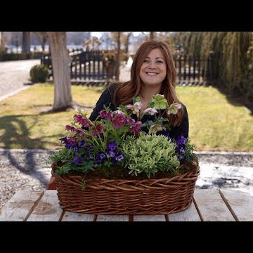 How to Plant in a Basket!