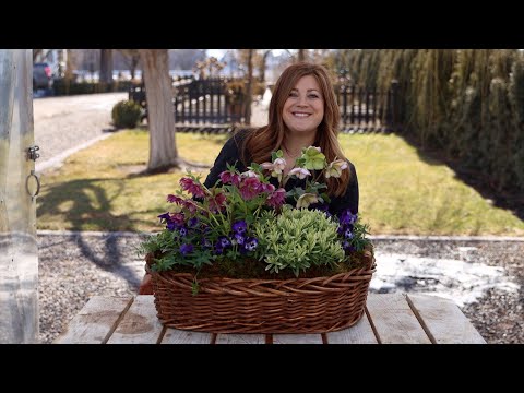 How to Plant in a Basket!