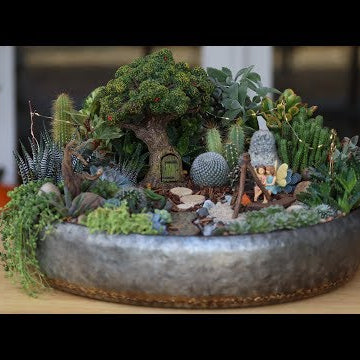 Succulent Treehouse Fairy Garden!