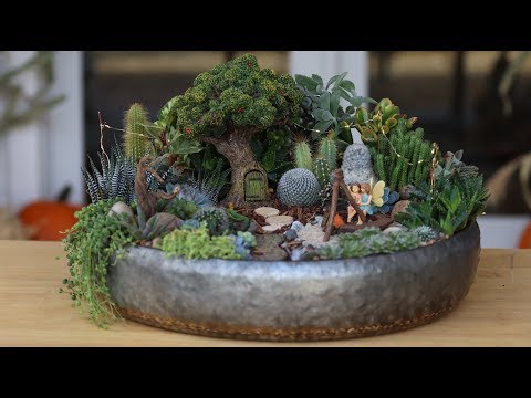 Succulent Treehouse Fairy Garden!