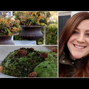 Arranging More Winter Containers (Trying Moss)