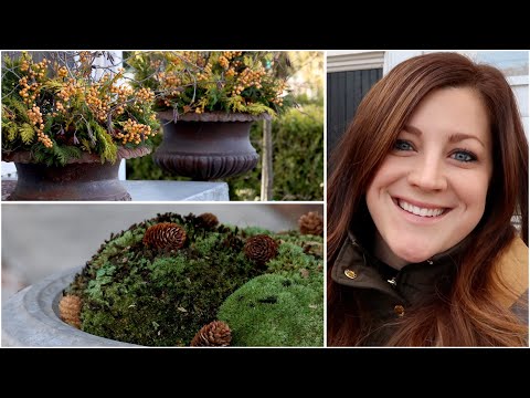 Arranging More Winter Containers (Trying Moss)