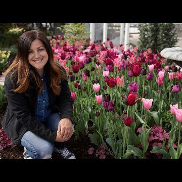 2019 Bulb Tour!