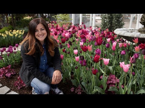 2019 Bulb Tour!