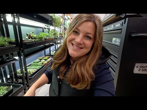 A Ton of Pretty Succulents!