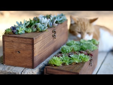 Wine Box Turned Succulent Planter