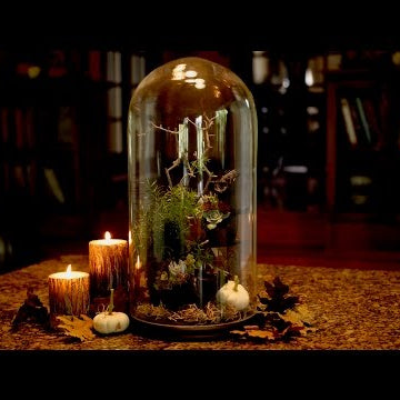 Rats + Succulents??? Halloween Centerpiece