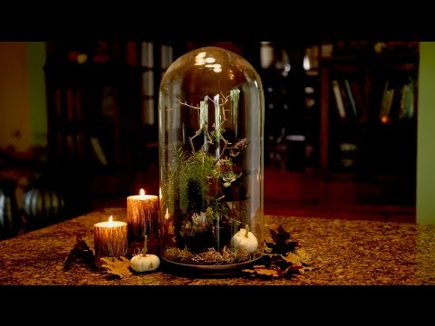 Rats + Succulents??? Halloween Centerpiece