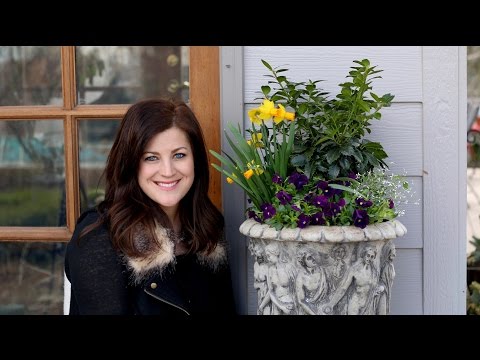 Pretty Spring Containers