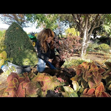 Planting Garlic, Harvesting Pumpkins & Planting Some Stuff!