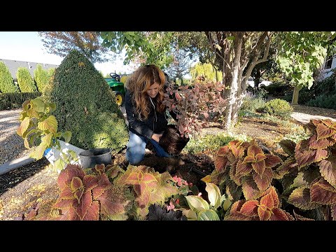 Planting Garlic, Harvesting Pumpkins & Planting Some Stuff!