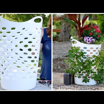Laundry Basket Turned Strawberry Planter