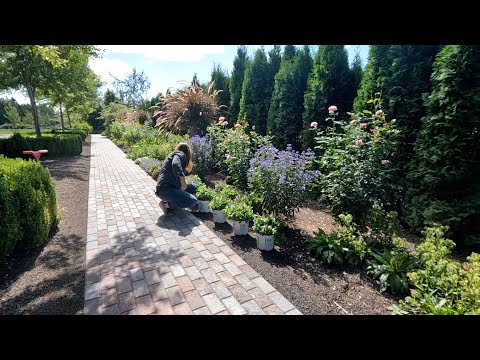 Finishing the Tree Planting, Perennial Planting & Pathway/Patio Update!