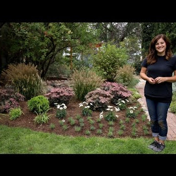 Landscape Makeover Part 1 // Behind the Gazebo