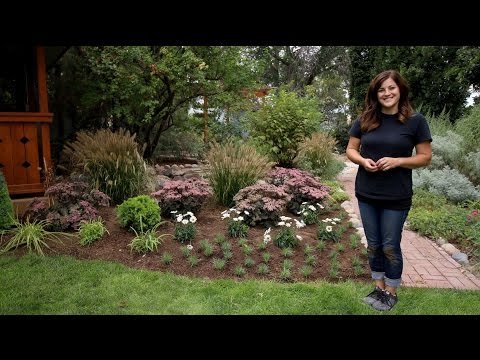 Landscape Makeover Part 1 // Behind the Gazebo