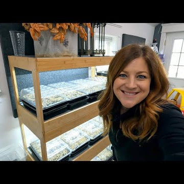 Starting Hardy Perennial Seeds & Planting Salad Greens in the Greenhouse!