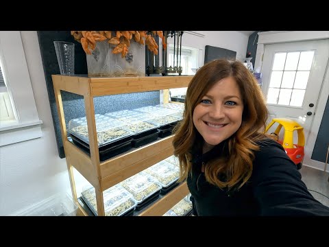 Starting Hardy Perennial Seeds & Planting Salad Greens in the Greenhouse!