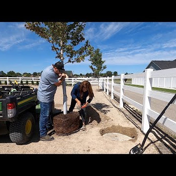 Planting Maple Trees on the New Property!
