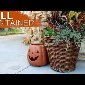 Fall Container Inspiration