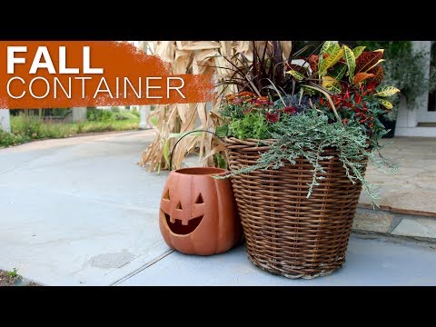 Fall Container Inspiration