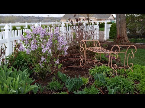 Rainy Day Garden Projects