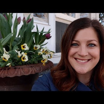 Planting Tulips in My Containers!