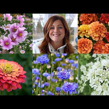 10 of the Easiest Annual Flowers to Start From Seed!